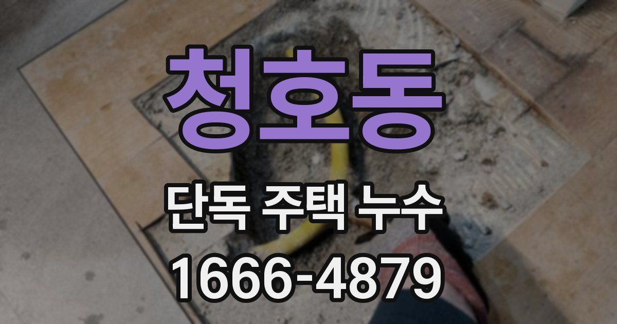 청호동 단독 주택 누수