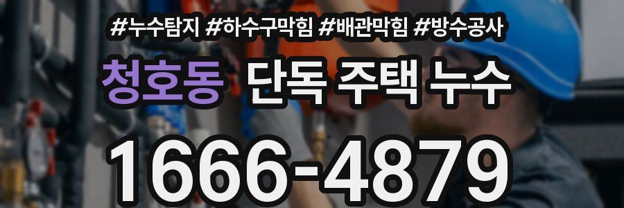 청호동 단독 주택 누수