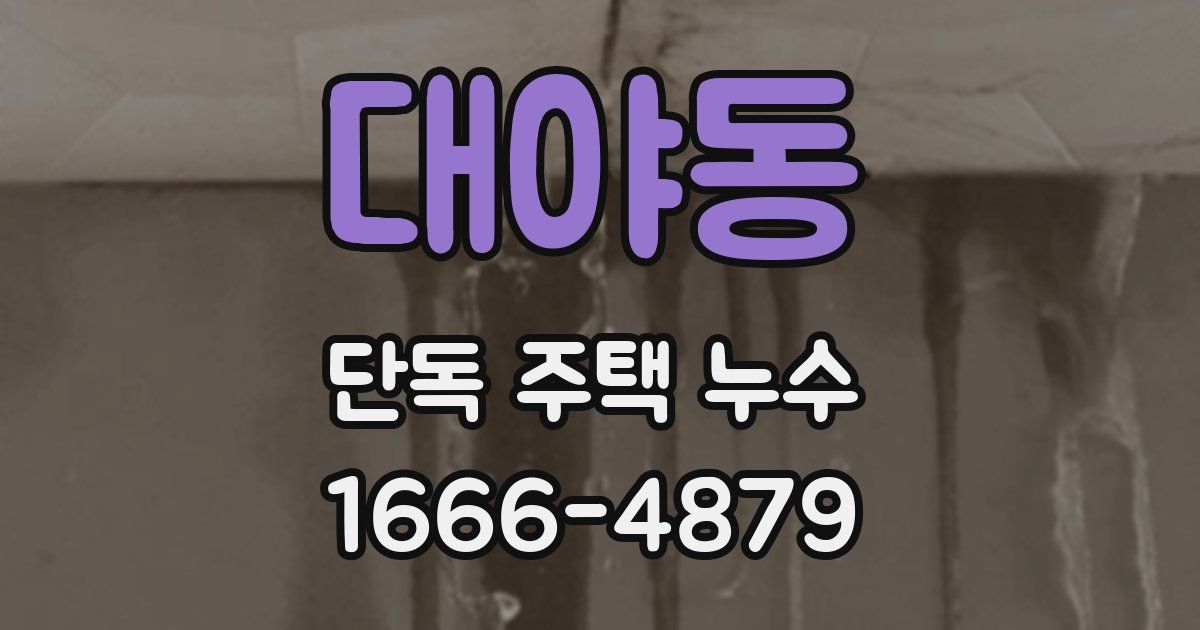 대야동 단독 주택 누수
