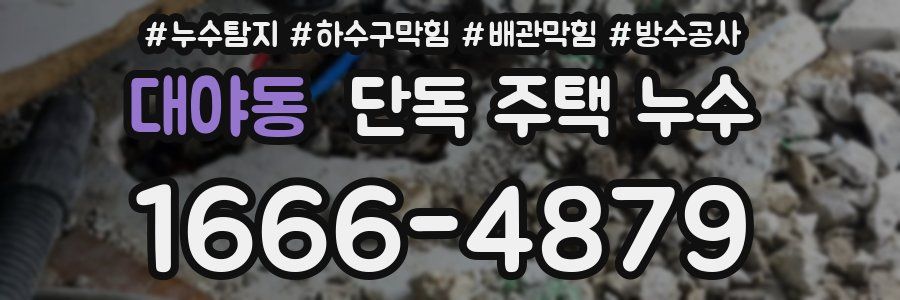 대야동 단독 주택 누수