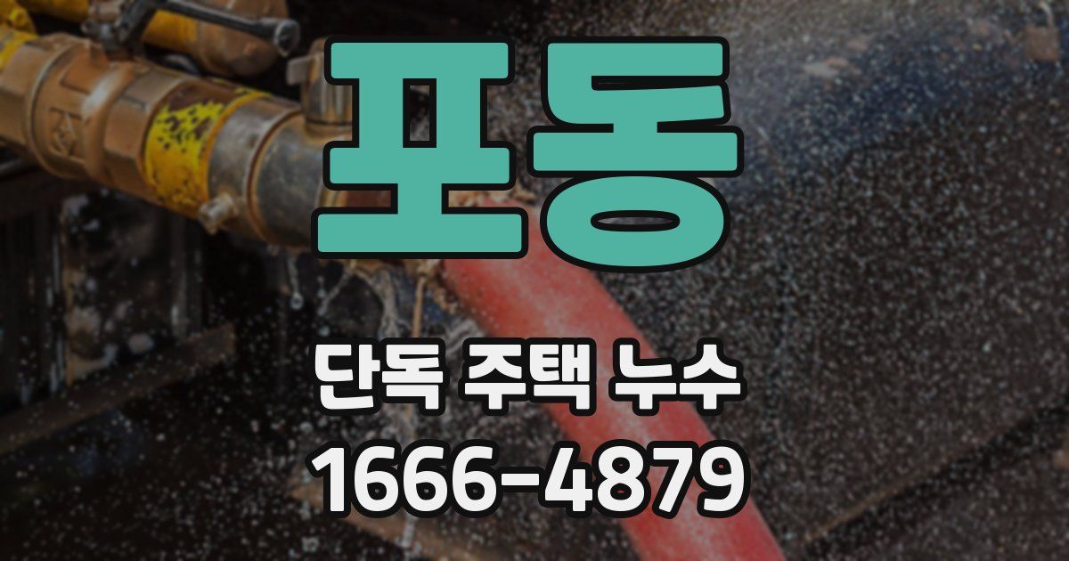 포동 단독 주택 누수