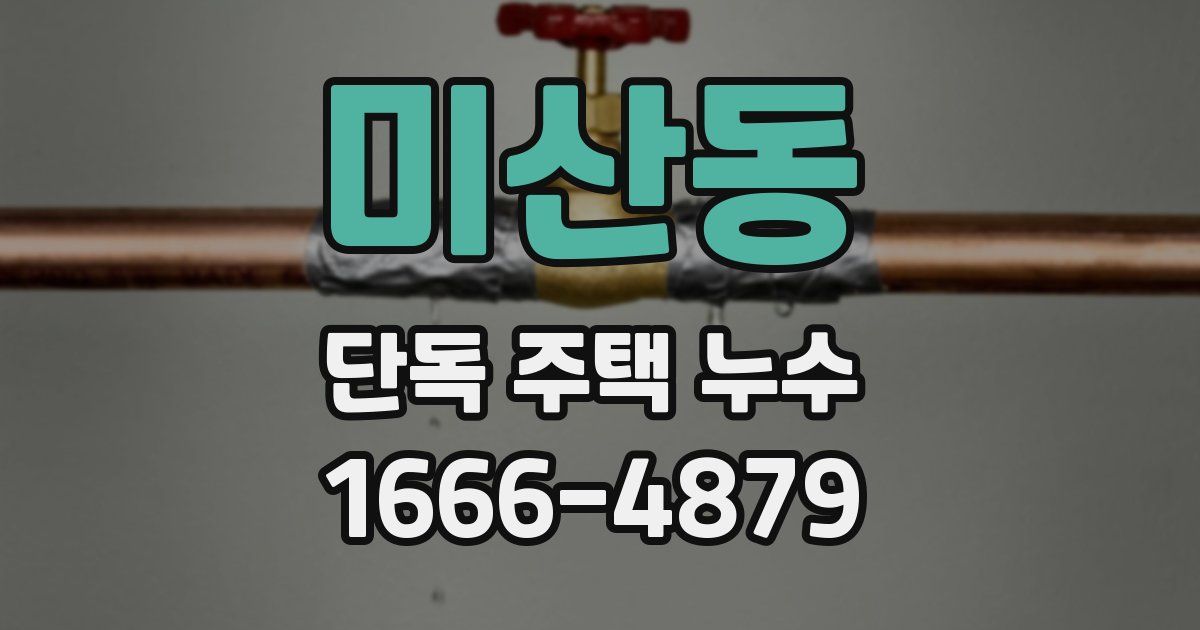 미산동 단독 주택 누수
