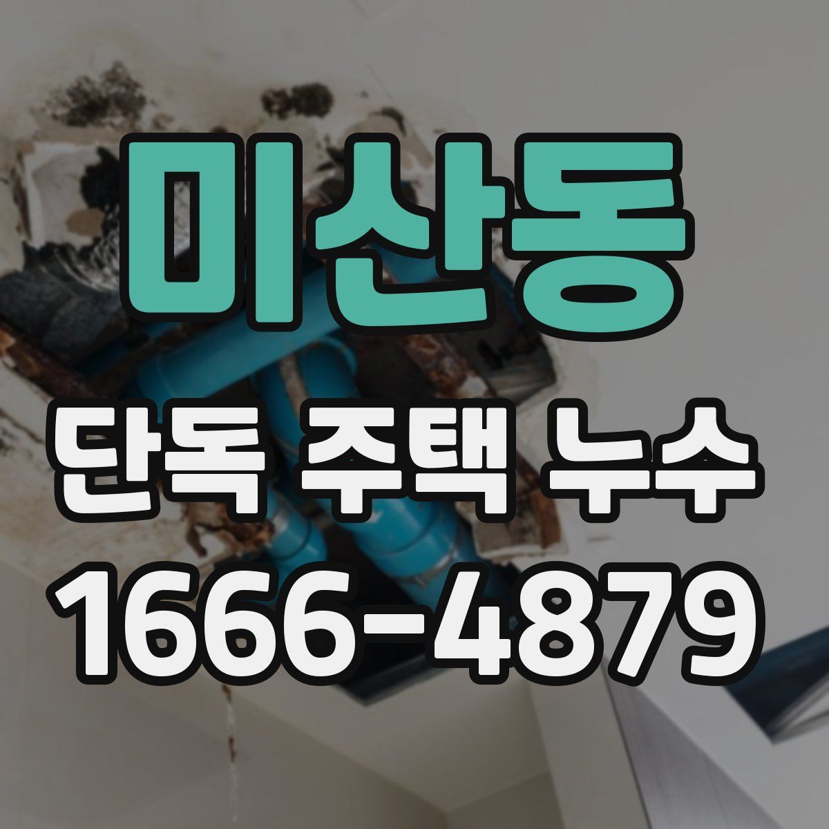 미산동 단독 주택 누수