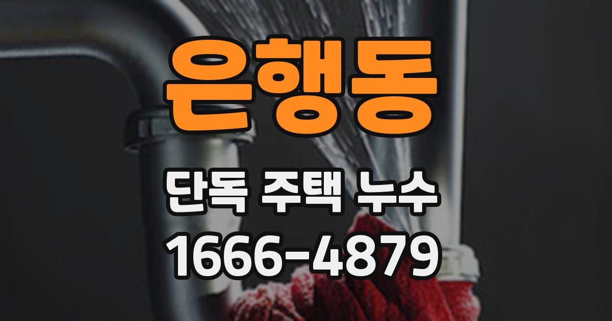 은행동 단독 주택 누수