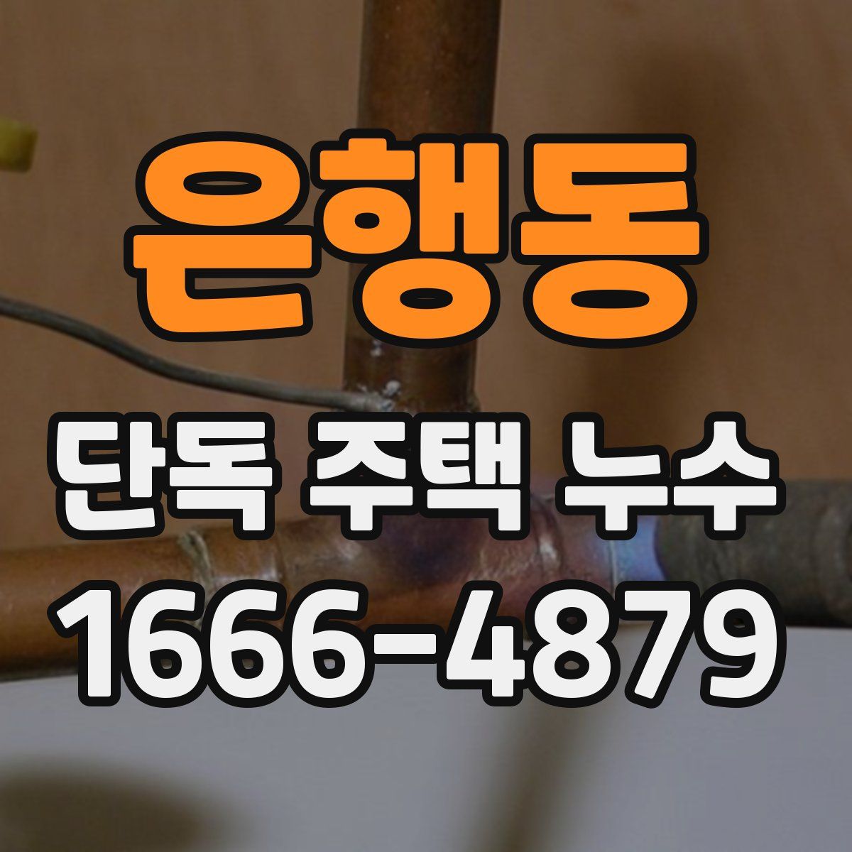 은행동 단독 주택 누수