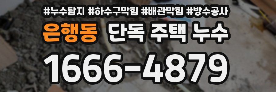 은행동 단독 주택 누수