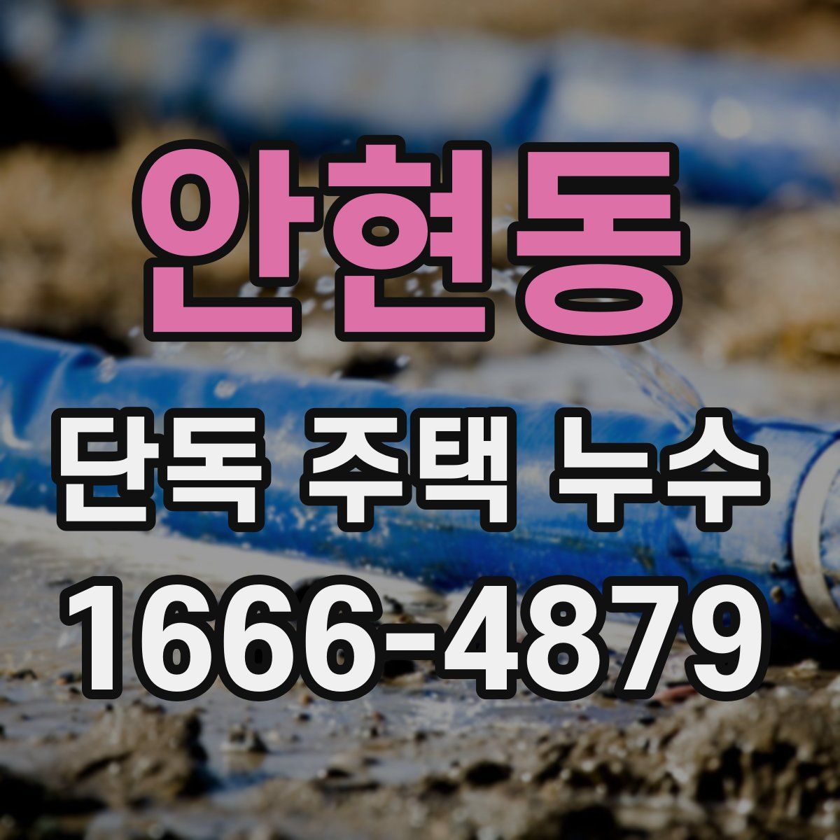 안현동 단독 주택 누수