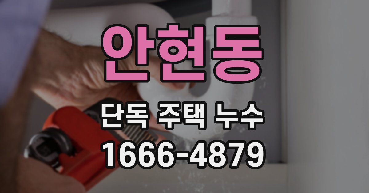 안현동 단독 주택 누수