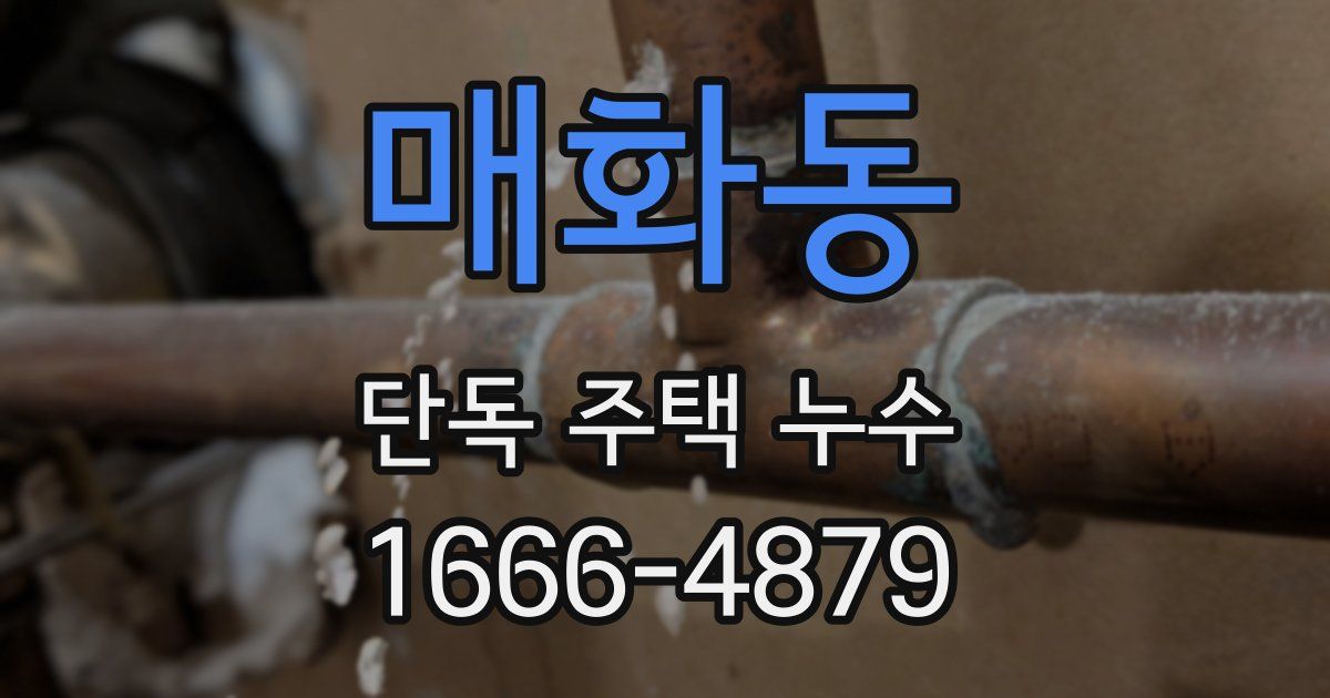 매화동 단독 주택 누수