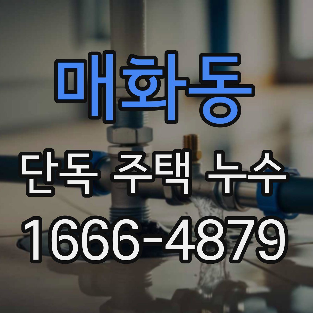 매화동 단독 주택 누수