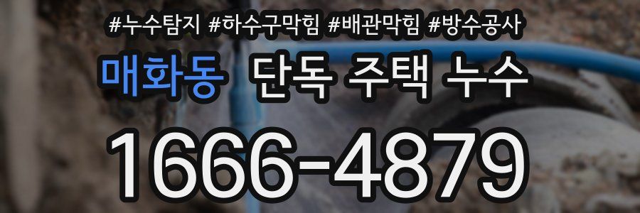 매화동 단독 주택 누수