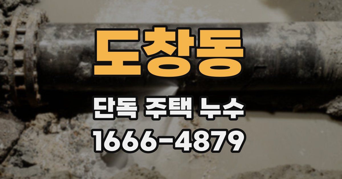 도창동 단독 주택 누수