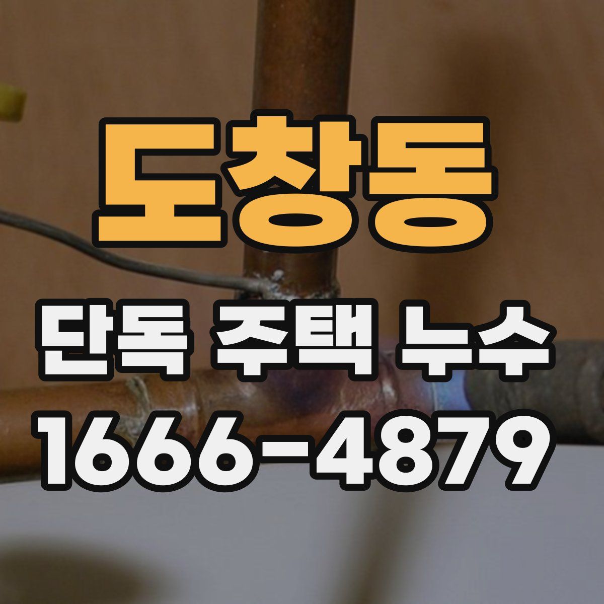 도창동 단독 주택 누수