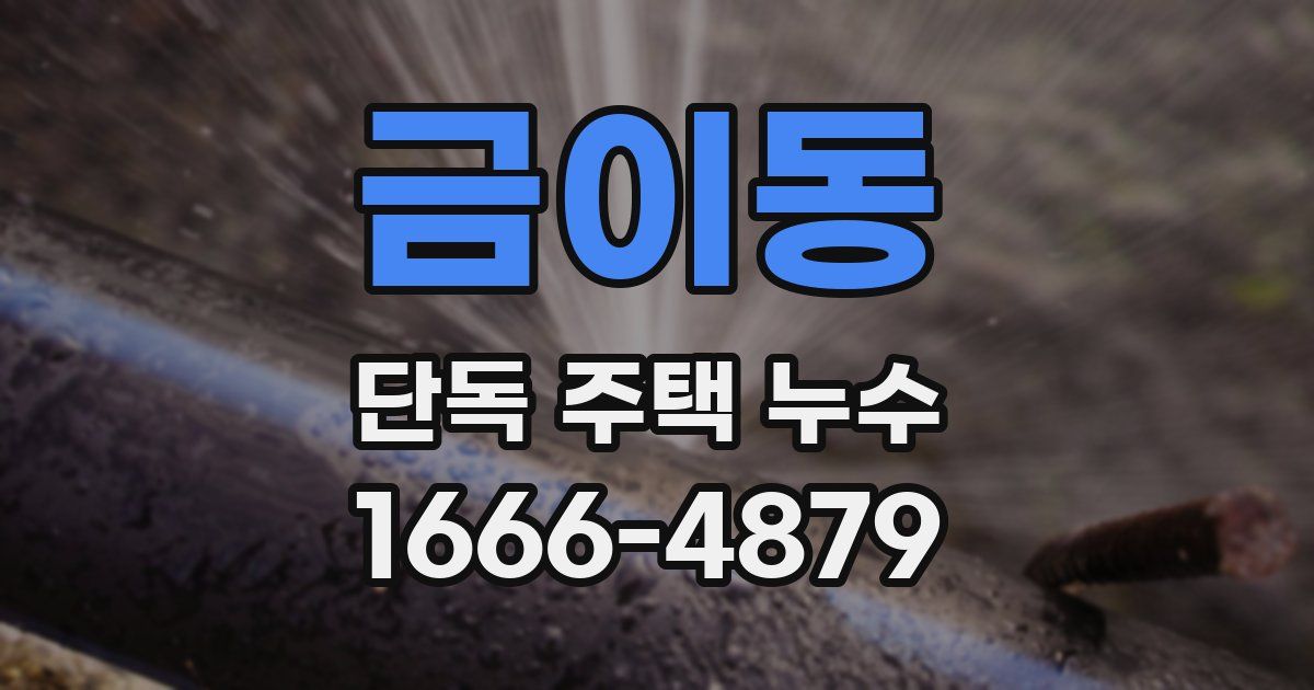 금이동 단독 주택 누수