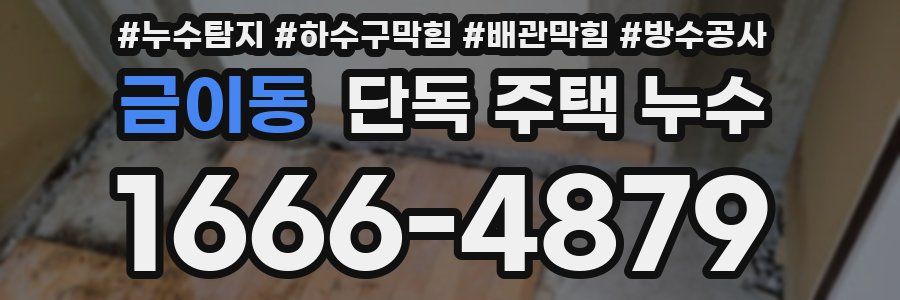 금이동 단독 주택 누수