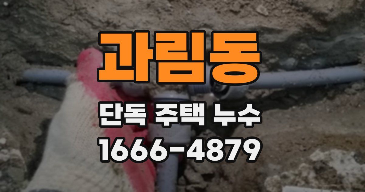 과림동 단독 주택 누수