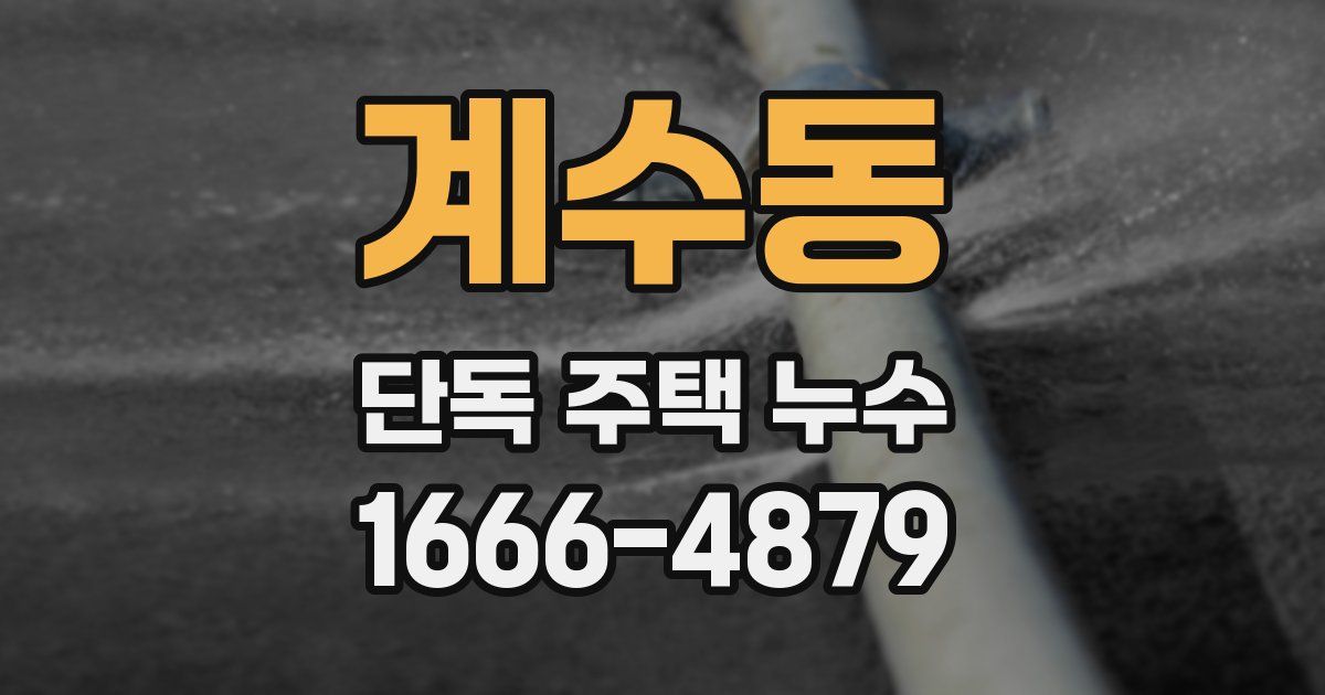 계수동 단독 주택 누수