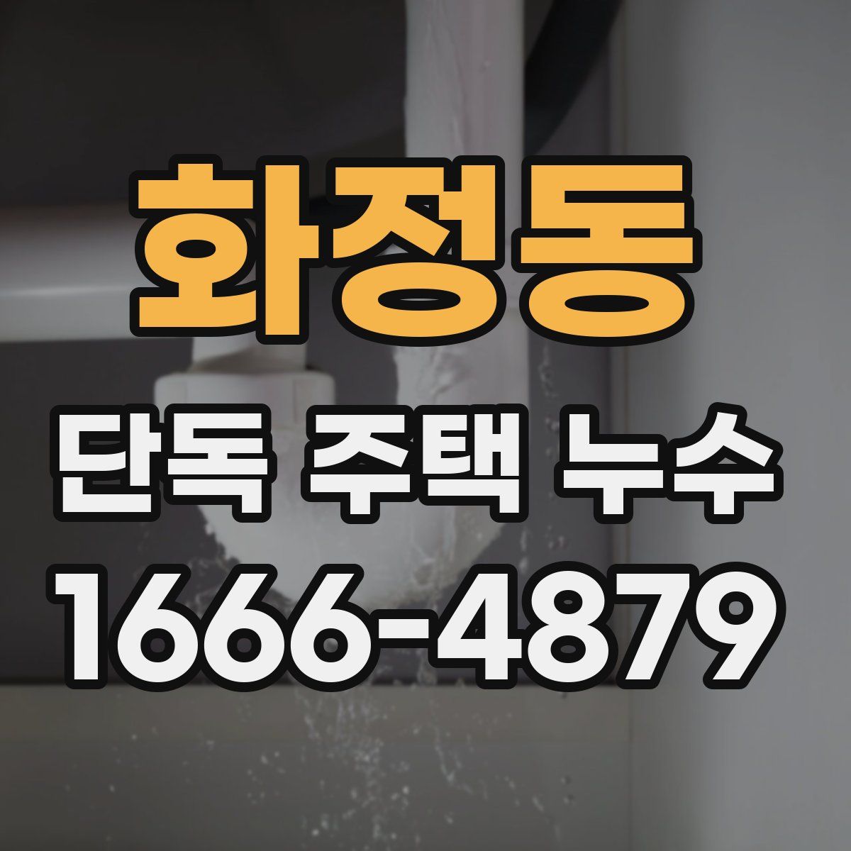 화정동 단독 주택 누수
