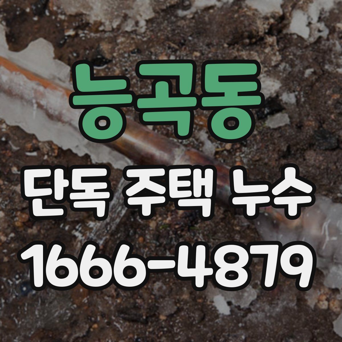 능곡동 단독 주택 누수