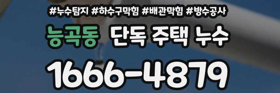 능곡동 단독 주택 누수