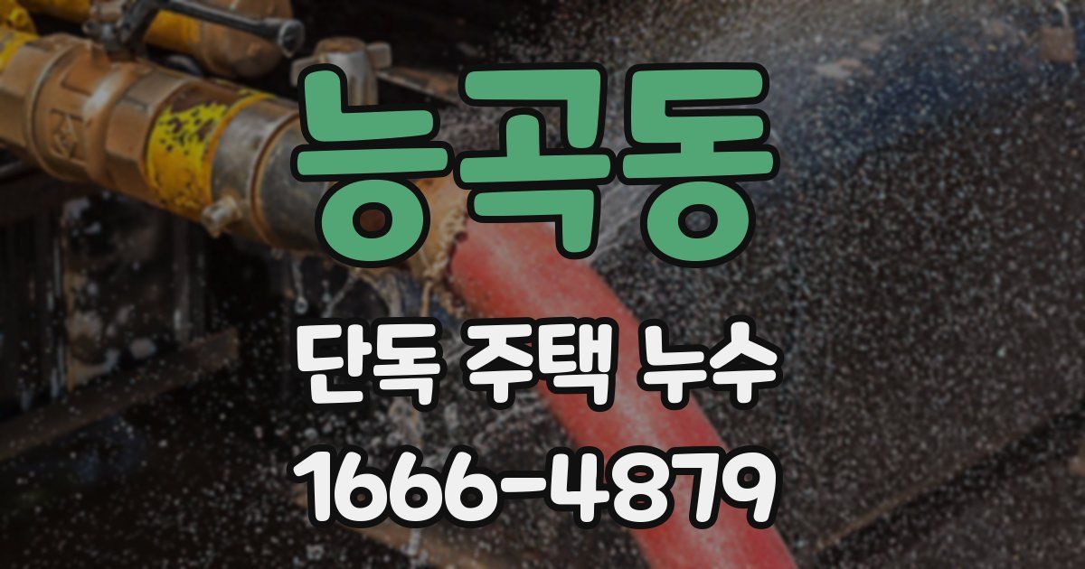 능곡동 단독 주택 누수