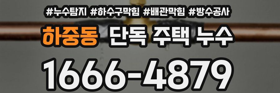 하중동 단독 주택 누수