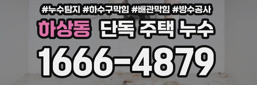 하상동 단독 주택 누수