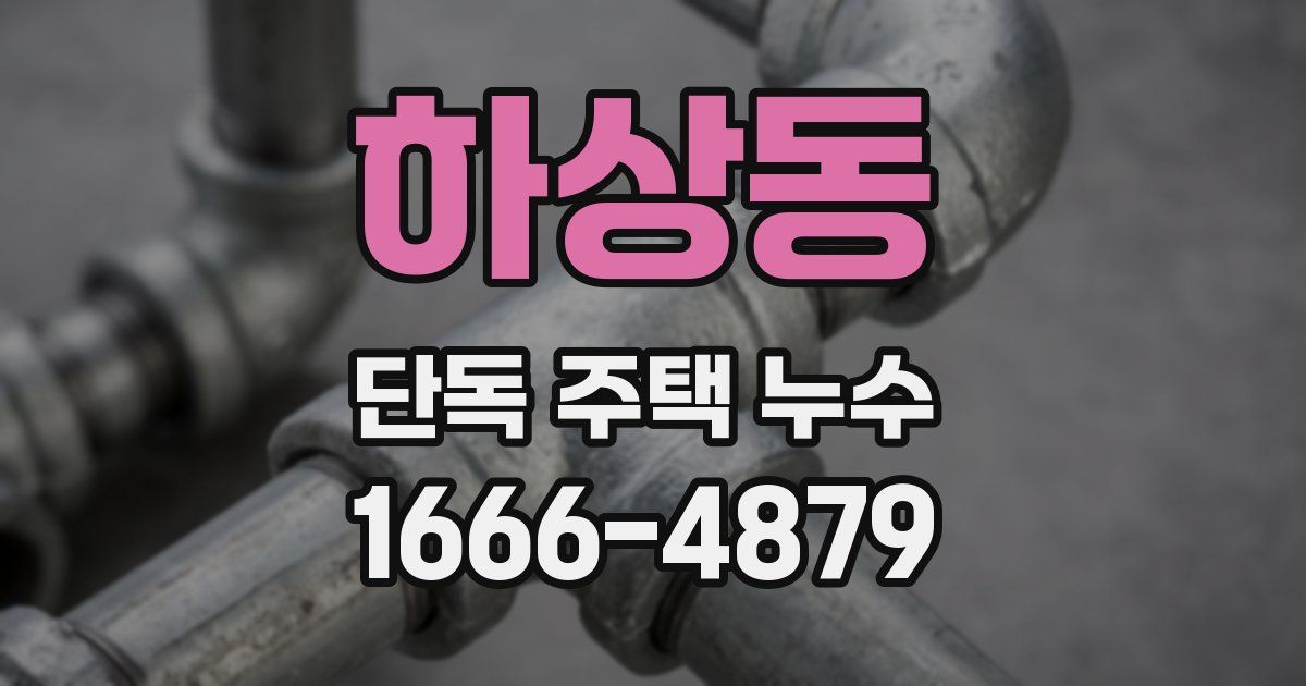 하상동 단독 주택 누수