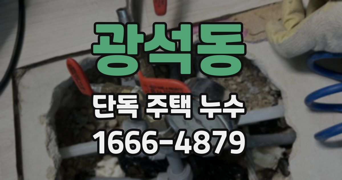 광석동 단독 주택 누수