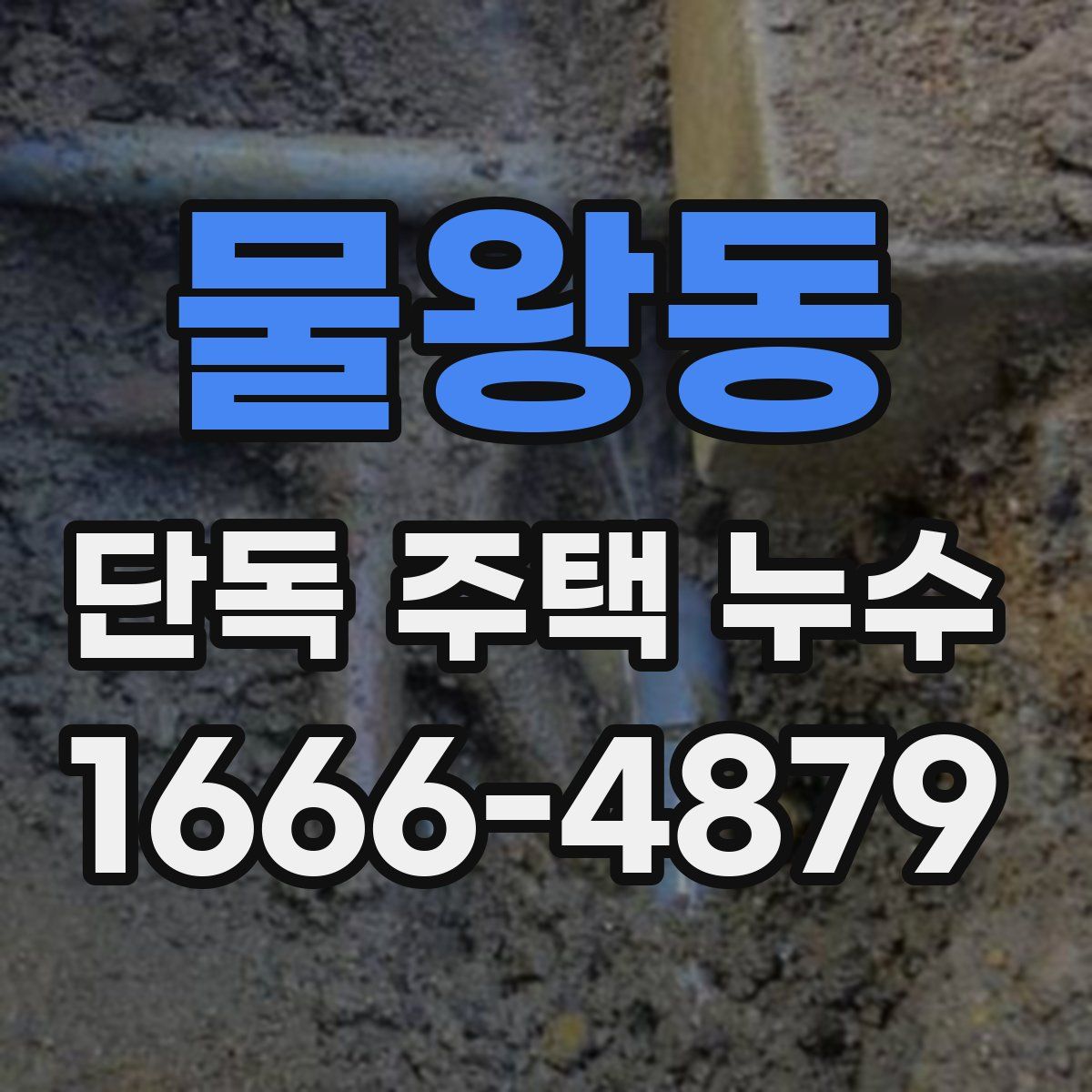 물왕동 단독 주택 누수