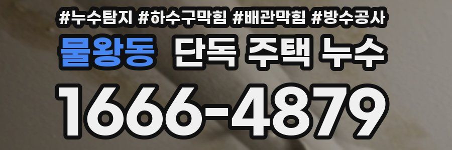 물왕동 단독 주택 누수