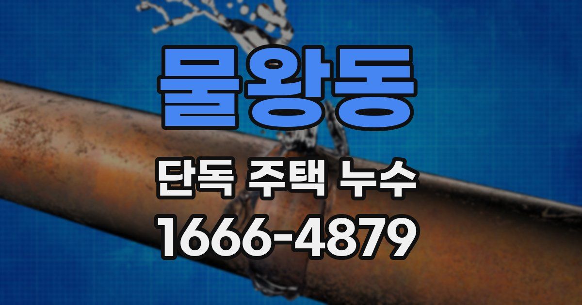 물왕동 단독 주택 누수