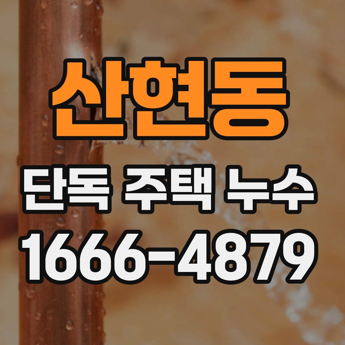 산현동 단독 주택 누수