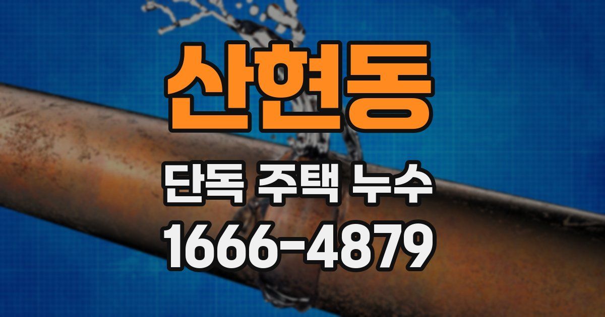 산현동 단독 주택 누수