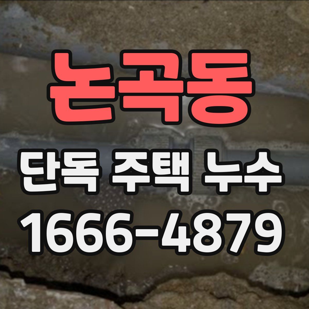 논곡동 단독 주택 누수