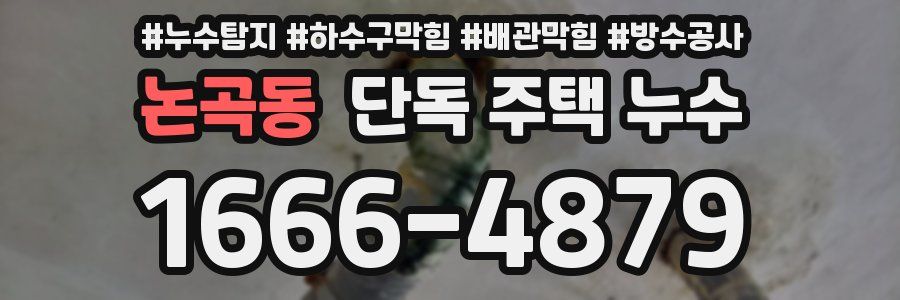 논곡동 단독 주택 누수