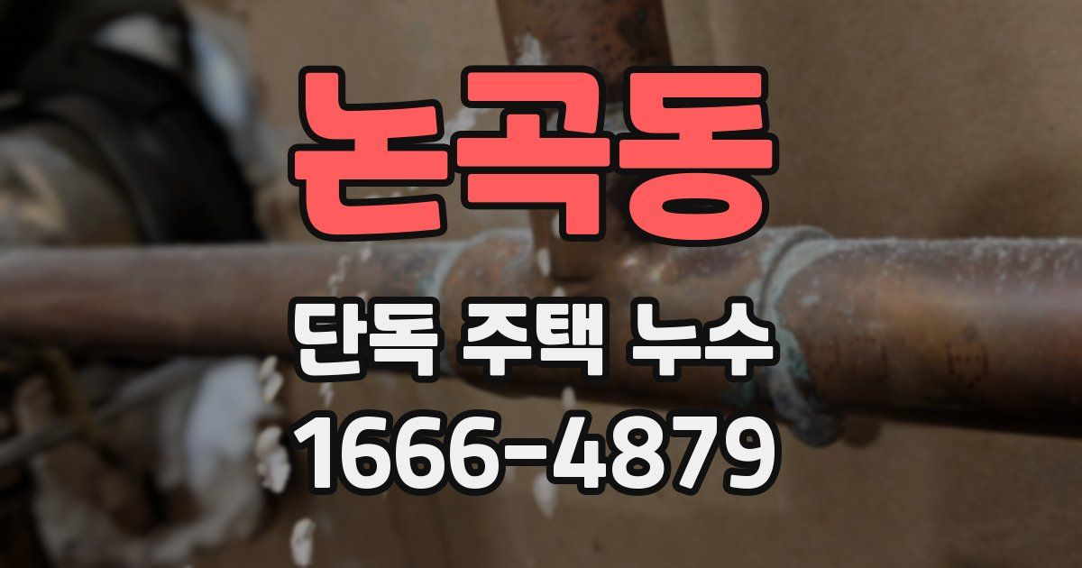 논곡동 단독 주택 누수
