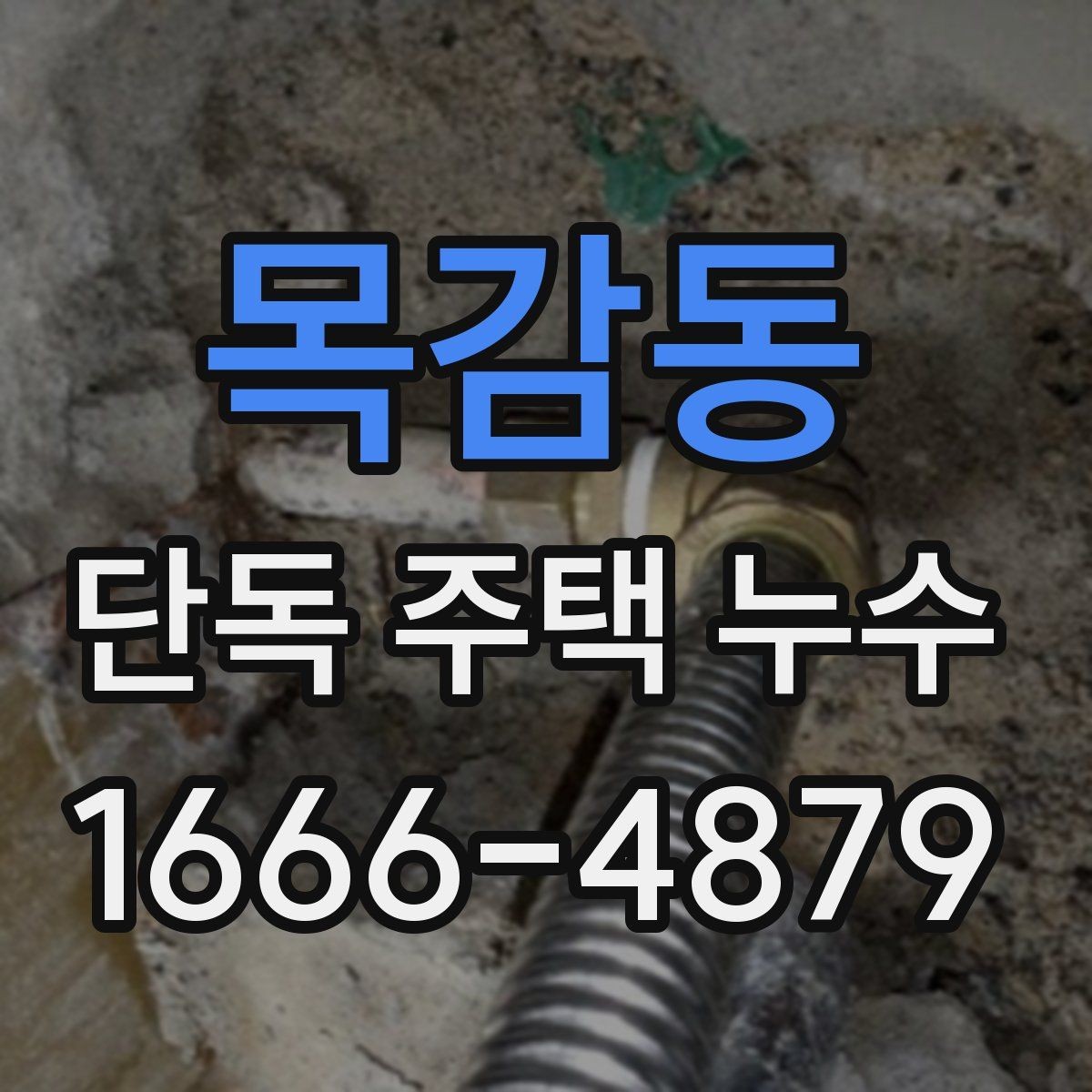 목감동 단독 주택 누수 원인별 점검 포인트 정리