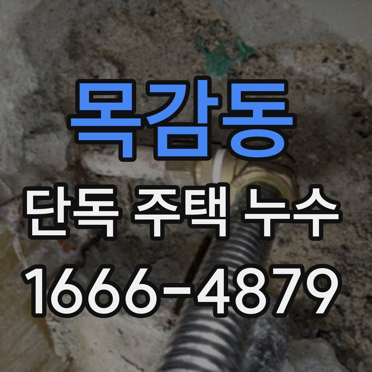 목감동 단독 주택 누수