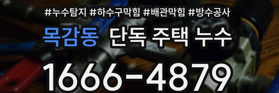 목감동 단독 주택 누수