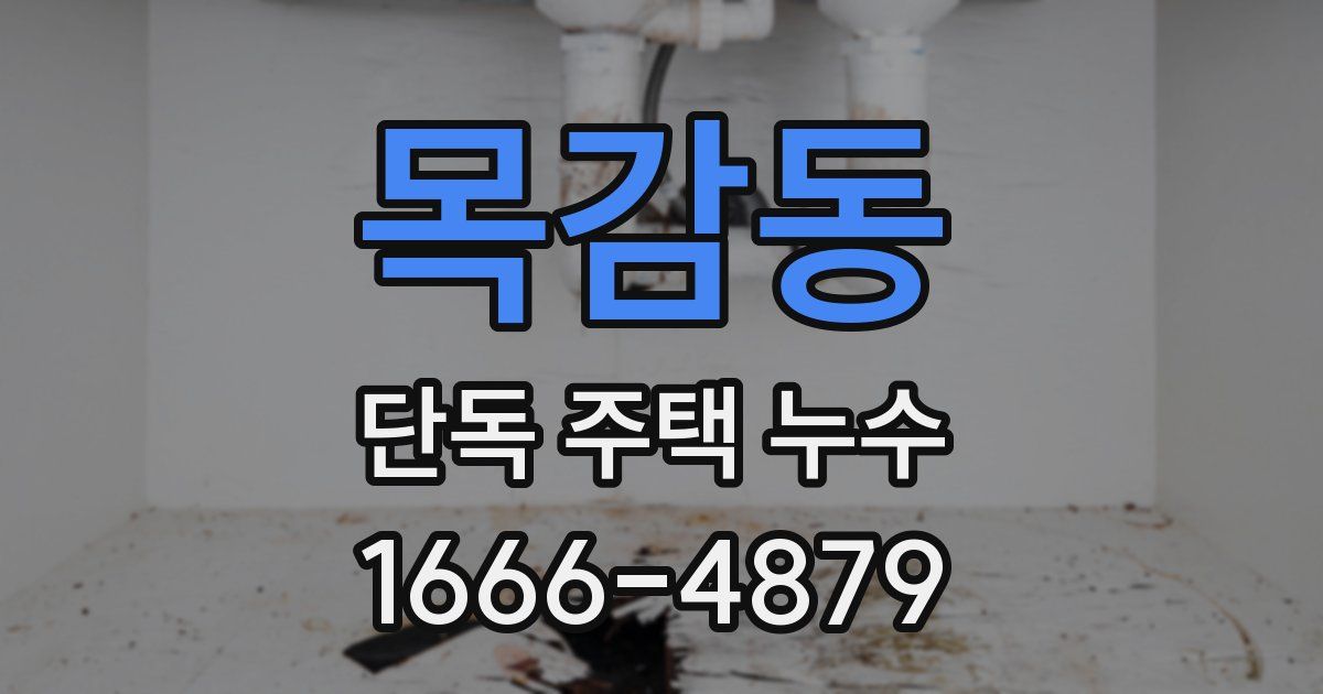 목감동 단독 주택 누수