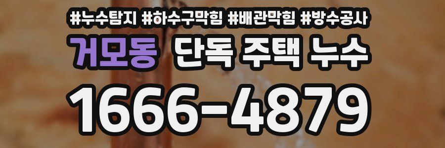 거모동 단독 주택 누수