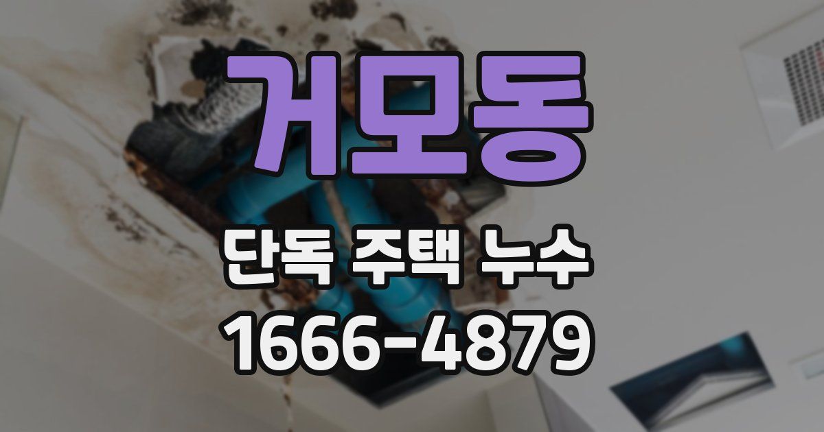 거모동 단독 주택 누수