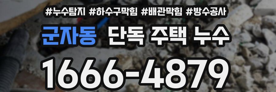 군자동 단독 주택 누수