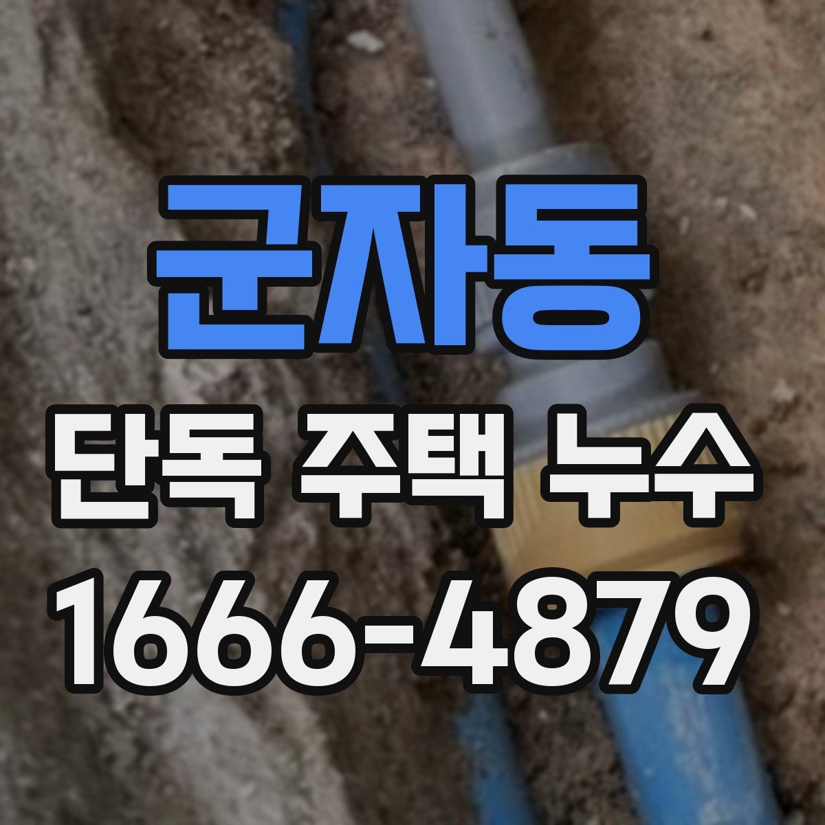 군자동 단독 주택 누수