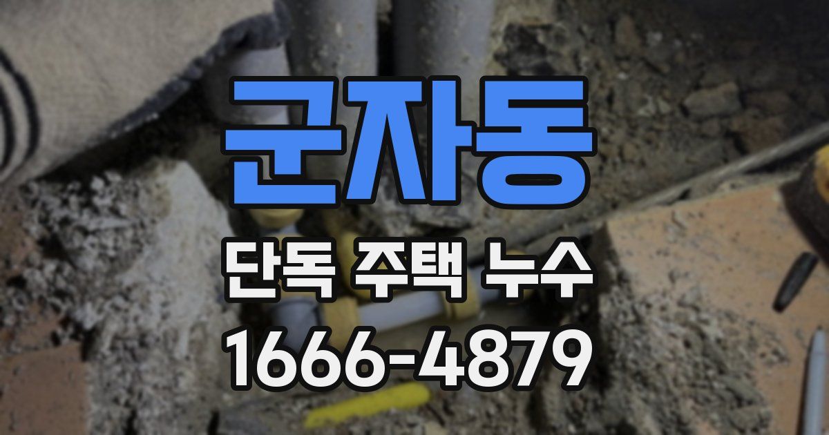 군자동 단독 주택 누수