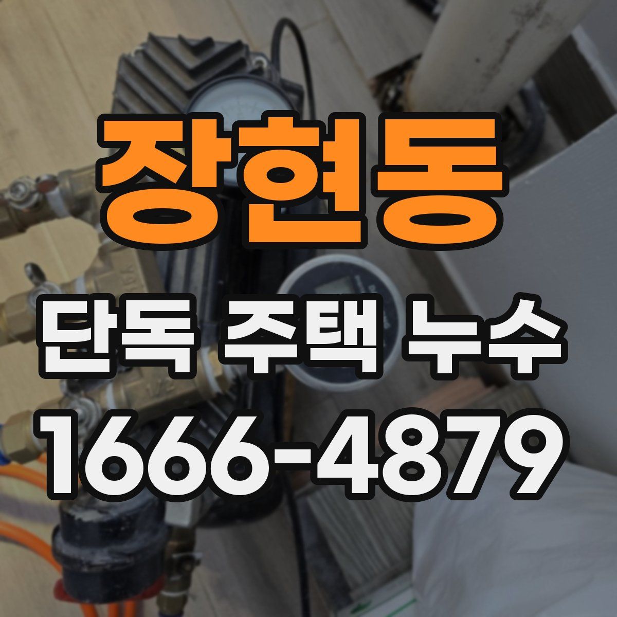 장현동 단독 주택 누수