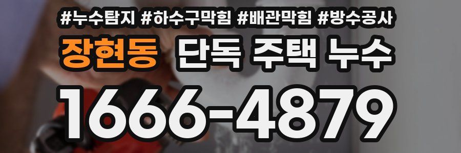 장현동 단독 주택 누수