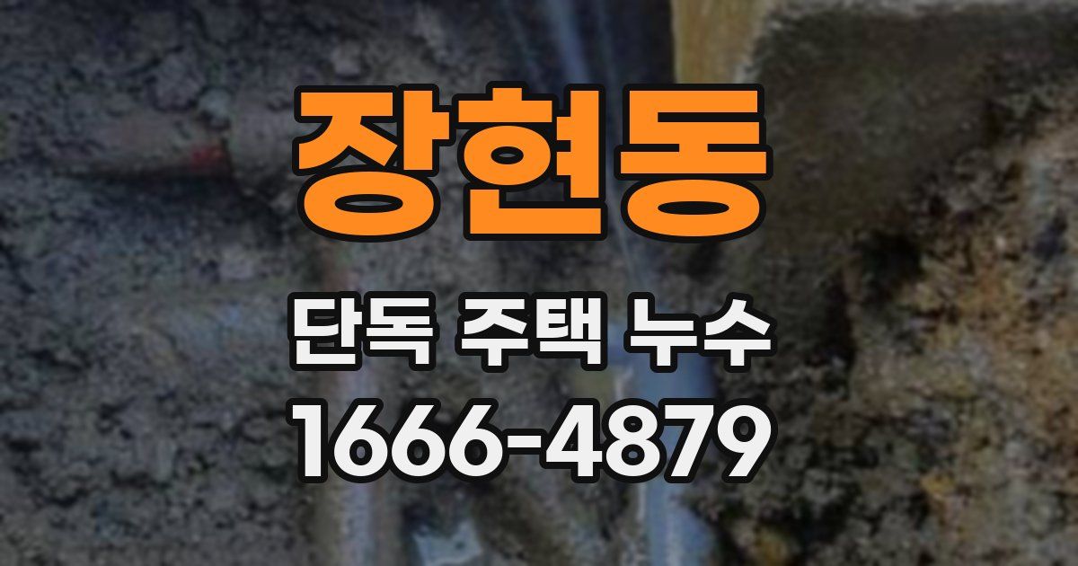 장현동 단독 주택 누수