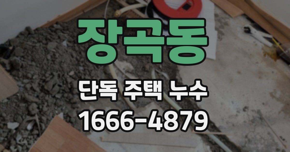 장곡동 단독 주택 누수